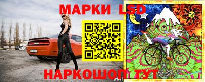 молекула духа Владимир
