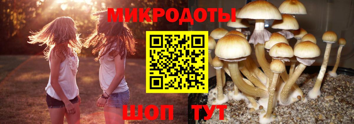 Заринск  Псилоцибиновые грибы MAGIC MUSHROOMS  Вход с VPN 